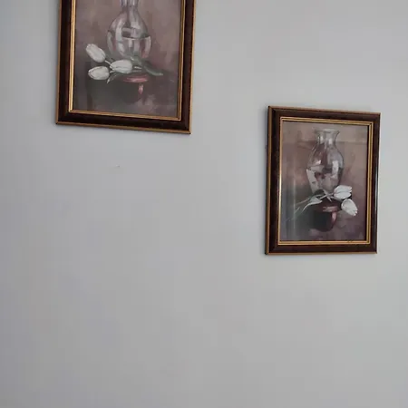 Zotkaj Bed & Breakfast Berat